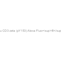Anti-Hu CD3 zeta (pY153) Alexa Fluor<sup>®</sup> 488